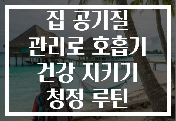 집 공기질 관리로 호흡기 건강 지키기 청정 루틴