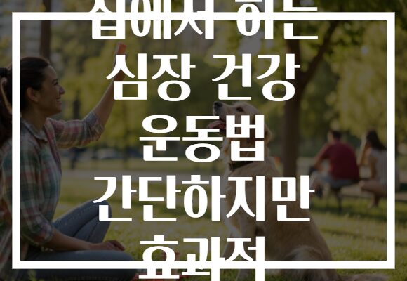 집에서 하는 심장 건강 운동법 간단하지만 효과적