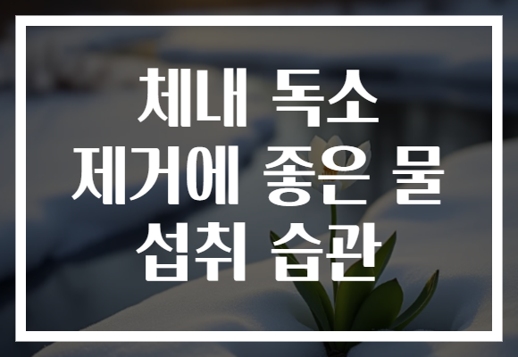 체내 독소 제거에 좋은 물 섭취 습관