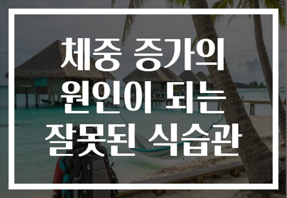 체중 증가의 원인이 되는 잘못된 식습관