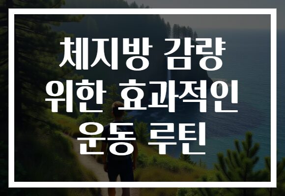 체지방 감량 위한 효과적인 운동 루틴