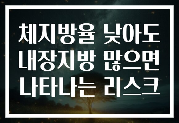 체지방율 낮아도 내장지방 많으면 나타나는 리스크