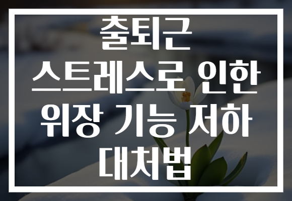 출퇴근 스트레스로 인한 위장 기능 저하 대처법