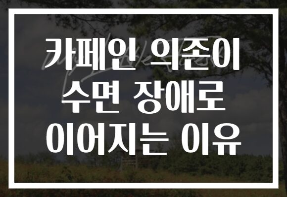 카페인 의존이 수면 장애로 이어지는 이유