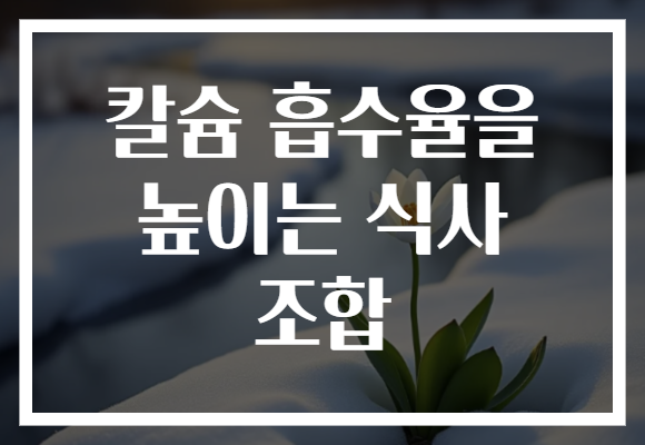 칼슘 흡수율을 높이는 식사 조합