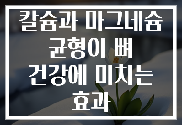 칼슘과 마그네슘 균형이 뼈 건강에 미치는 효과