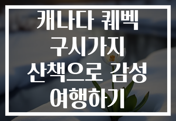 캐나다 퀘벡 구시가지 산책으로 감성 여행하기