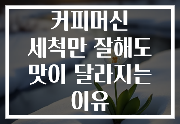 커피머신 세척만 잘해도 맛이 달라지는 이유