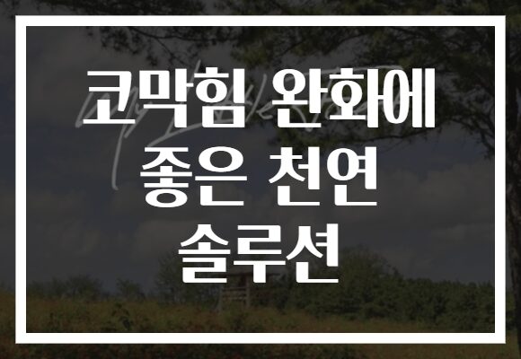 코막힘 완화에 좋은 천연 솔루션