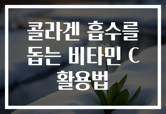 콜라겐 흡수를 돕는 비타민 C 활용법