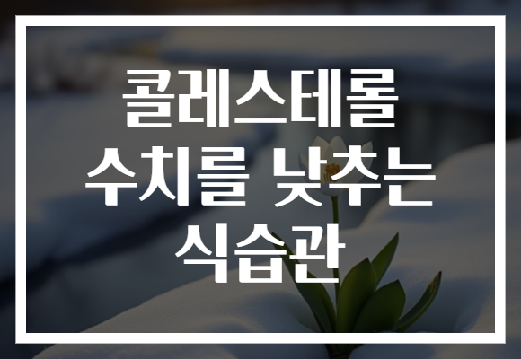 콜레스테롤 수치를 낮추는 식습관