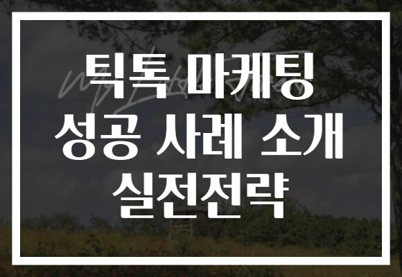 틱톡 마케팅 성공 사례 소개 실전전략