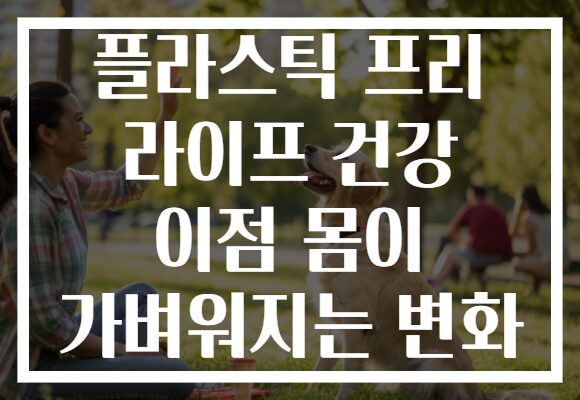 플라스틱 프리 라이프 건강 이점 몸이 가벼워지는 변화