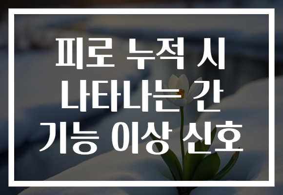 피로 누적 시 나타나는 간 기능 이상 신호