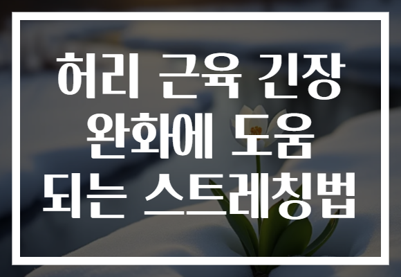 허리 근육 긴장 완화에 도움 되는 스트레칭법