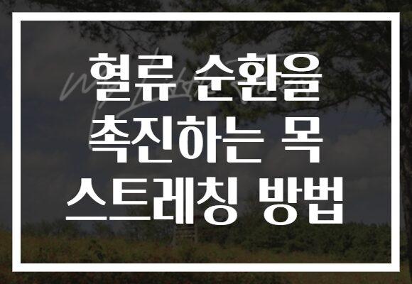 혈류 순환을 촉진하는 목 스트레칭 방법