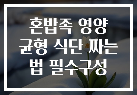 혼밥족 영양 균형 식단 짜는 법 필수구성
