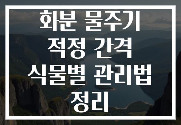 화분 물주기 적정 간격 식물별 관리법 정리