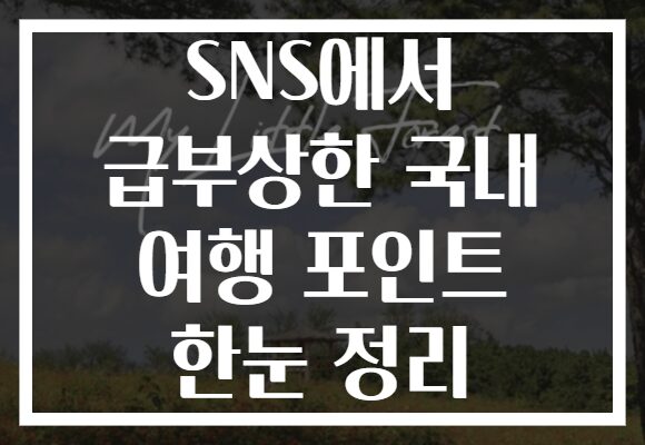 SNS에서 급부상한 국내 여행 포인트 한눈 정리