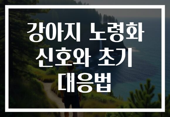 강아지 노령화 신호와 초기 대응법