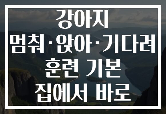 강아지 멈춰·앉아·기다려 훈련 기본 집에서 바로