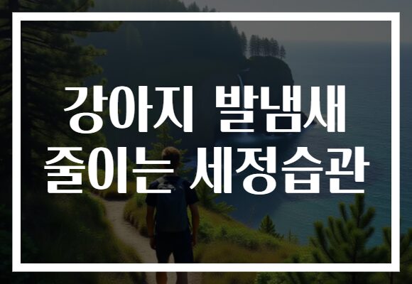 강아지 발냄새 줄이는 세정습관