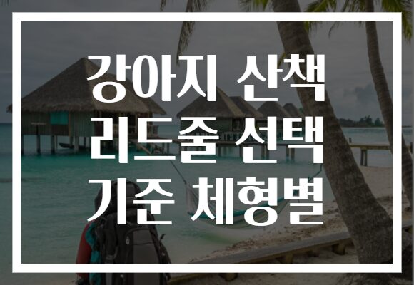 강아지 산책 리드줄 선택 기준 체형별