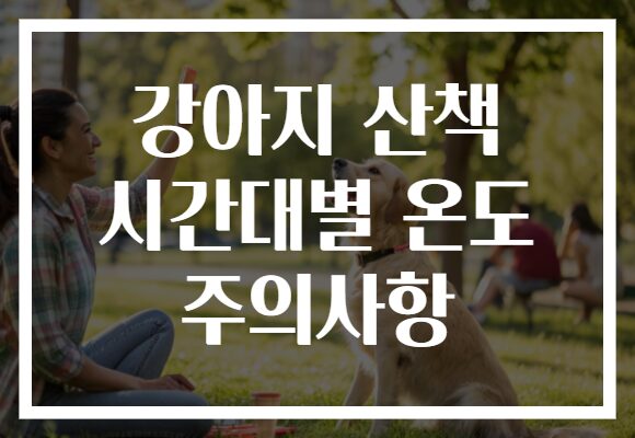 강아지 산책 시간대별 온도 주의사항