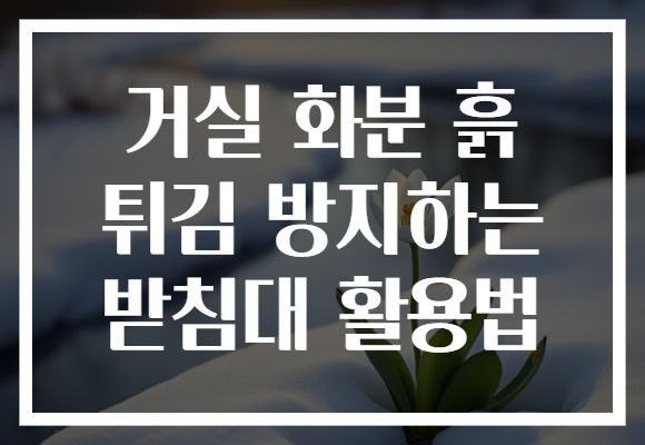 거실 화분 흙 튀김 방지하는 받침대 활용법