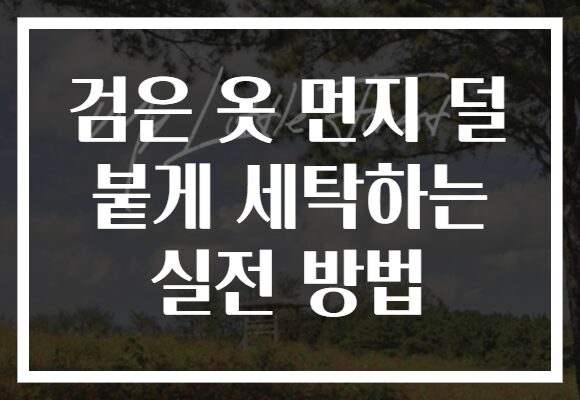 검은 옷 먼지 덜 붙게 세탁하는 실전 방법