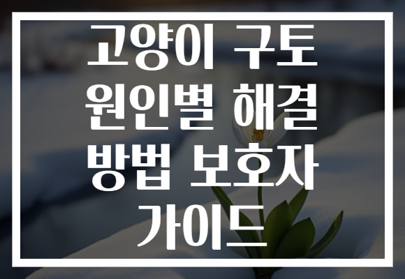 고양이 구토 원인별 해결 방법 보호자 가이드