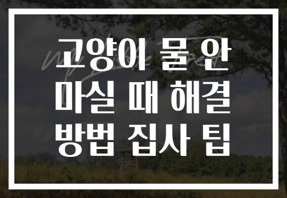 고양이 물 안 마실 때 해결 방법 집사 팁