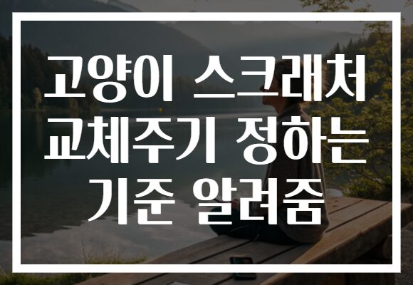 고양이 스크래처 교체주기 정하는 기준 알려줌