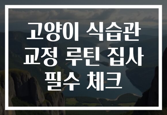 고양이 식습관 교정 루틴 집사 필수 체크