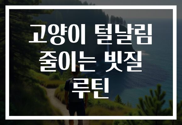 고양이 털날림 줄이는 빗질 루틴