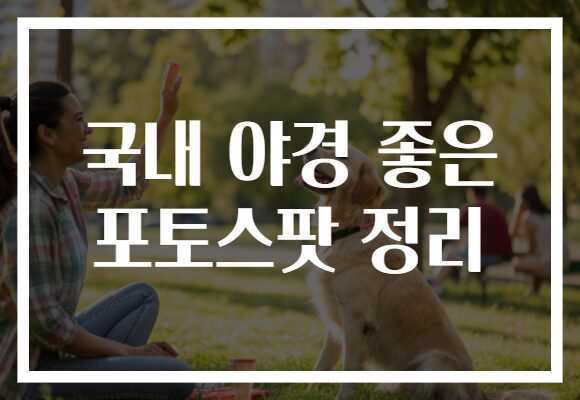 국내 야경 좋은 포토스팟 정리