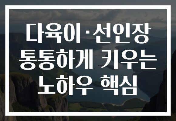 다육이·선인장 통통하게 키우는 노하우 핵심