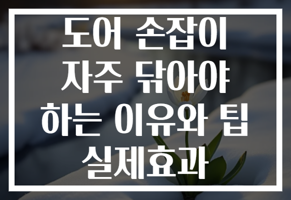 도어 손잡이 자주 닦아야 하는 이유와 팁 실제효과