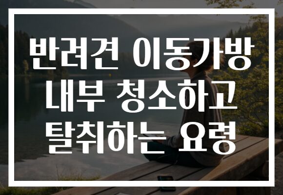 반려견 이동가방 내부 청소하고 탈취하는 요령