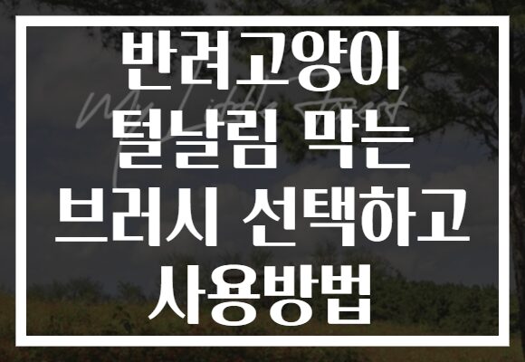 반려고양이 털날림 막는 브러시 선택하고 사용방법