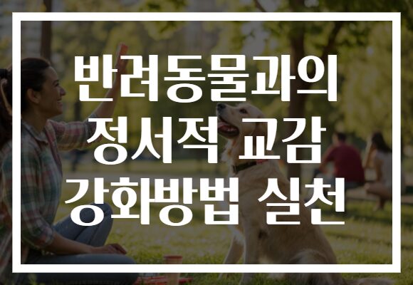 반려동물과의 정서적 교감 강화방법 실천