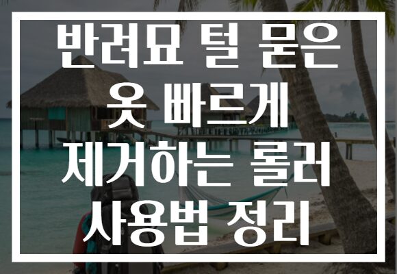 반려묘 털 묻은 옷 빠르게 제거하는 롤러 사용법 정리