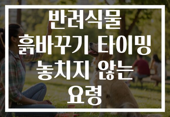 반려식물 흙바꾸기 타이밍 놓치지 않는 요령