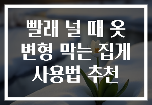 빨래 널 때 옷 변형 막는 집게 사용법 추천