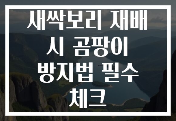 새싹보리 재배 시 곰팡이 방지법 필수 체크