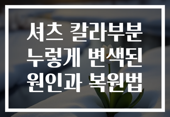 셔츠 칼라부분 누렇게 변색된 원인과 복원법