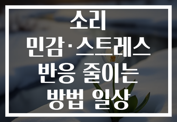 소리 민감·스트레스 반응 줄이는 방법 일상