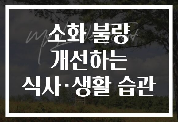 소화 불량 개선하는 식사·생활 습관