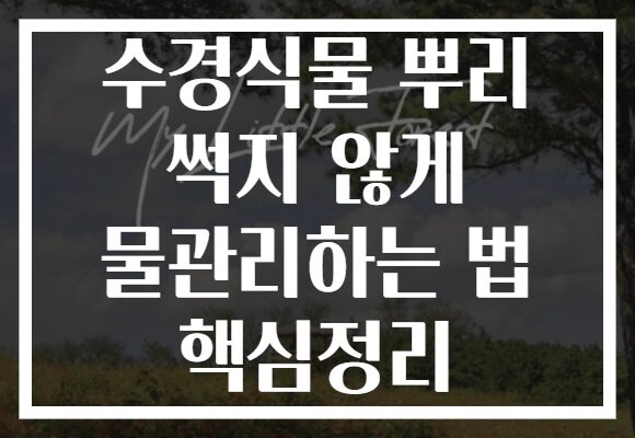 수경식물 뿌리 썩지 않게 물관리하는 법 핵심정리
