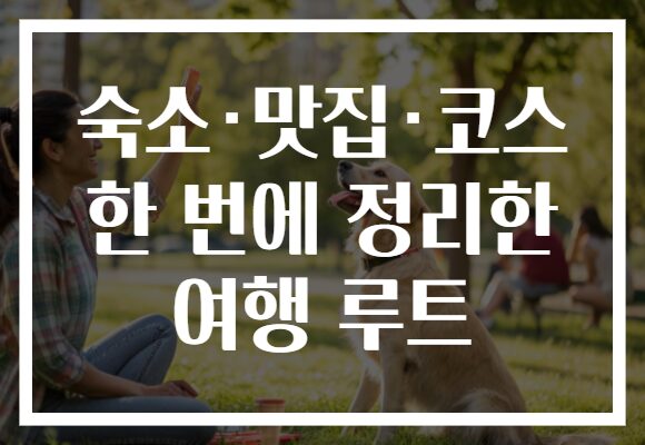 숙소·맛집·코스 한 번에 정리한 여행 루트